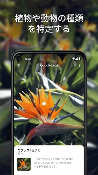 Google レンズ スクリーンショット