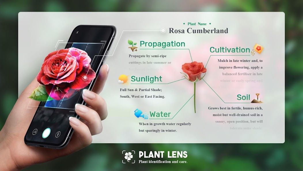 Plant Lens Plant identifier スクリーンショット