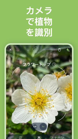 Flora Incognita スクリーンショット