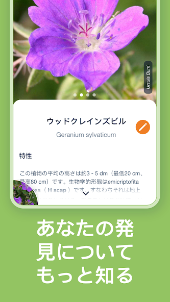 Flora Incognita スクリーンショット