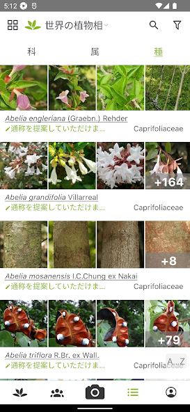 プラントネット (PlantNet) 植物図鑑アプリ スクリーンショット