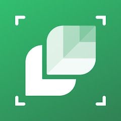   LeafSnap Plant Identification