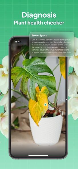 LeafSnap Plant Identification スクリーンショット