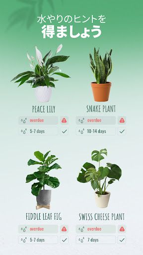 Blossom - 植物や花の名前を認識しましょう スクリーンショット