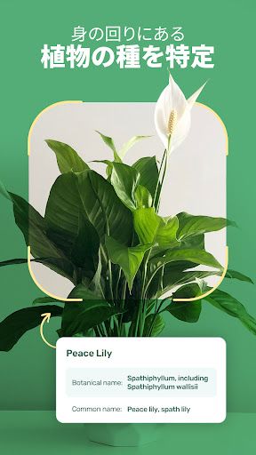 Blossom - 植物や花の名前を認識しましょう スクリーンショット