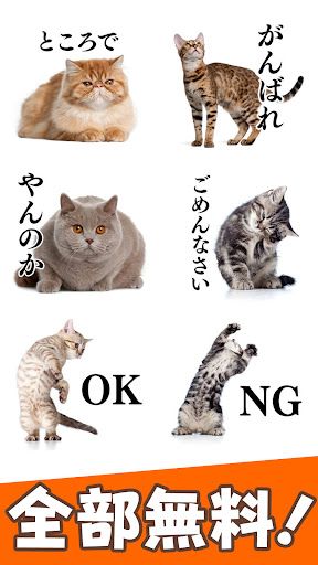 猫スタンプ（実写スタンプ） スクリーンショット