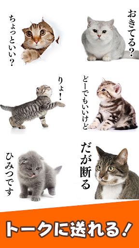 猫スタンプ（実写スタンプ） スクリーンショット