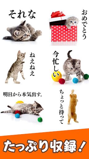 猫スタンプ（実写スタンプ） スクリーンショット